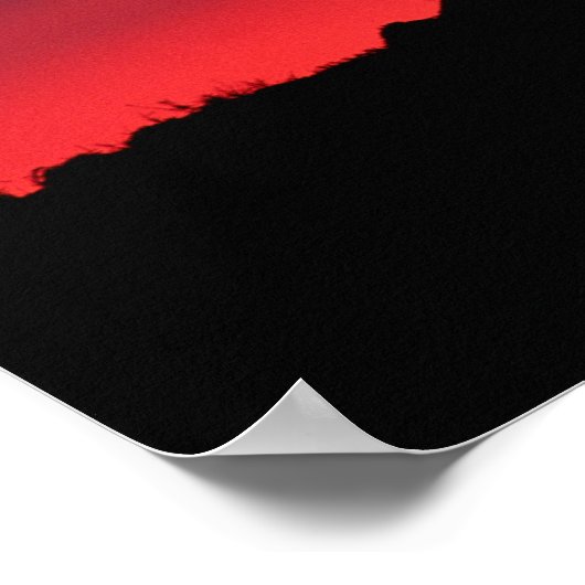 Leeuwen (Panthera leo), zonsondergang, Masai Poster (Hoek)