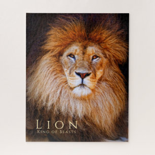 Leeuwen [puzzel: 520P] Legpuzzel