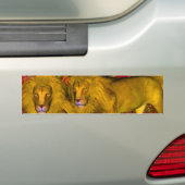Leeuwen reis bumpersticker (Op auto)