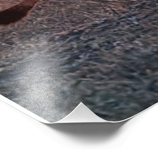 Leeuwen 's morgens foto afdruk (Hoek)