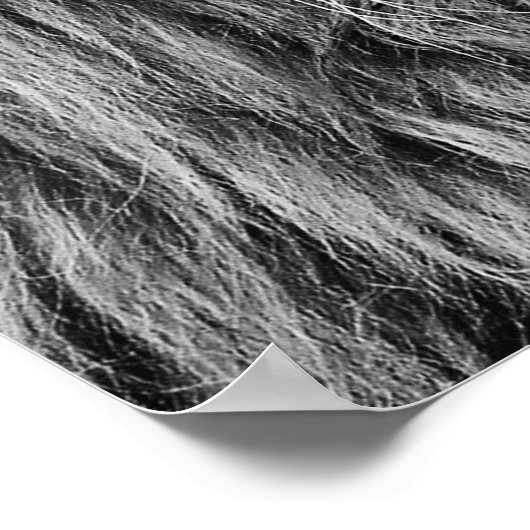 Leeuwen verliezen niet de mening van schaap poster (Hoek)