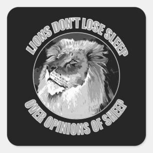Leeuwen verliezen niet de mening van schaap vierkante sticker