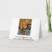 Leeuwen & welpen feestdagen kaart (Achterkant)