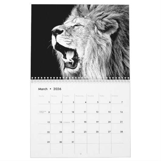 Leeuwen - Wild Animals & Big Cats Wall Kalender (Mar 2026)