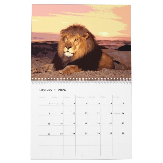 Leeuwen - Wild Animals & Big Cats Wall Kalender (Feb 2026)