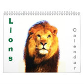 Leeuwen - Wild Animals & Big Cats Wall Kalender (Hoes)