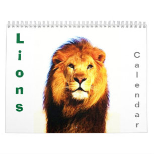 Leeuwen - Wild Animals & Big Cats Wall Kalender
