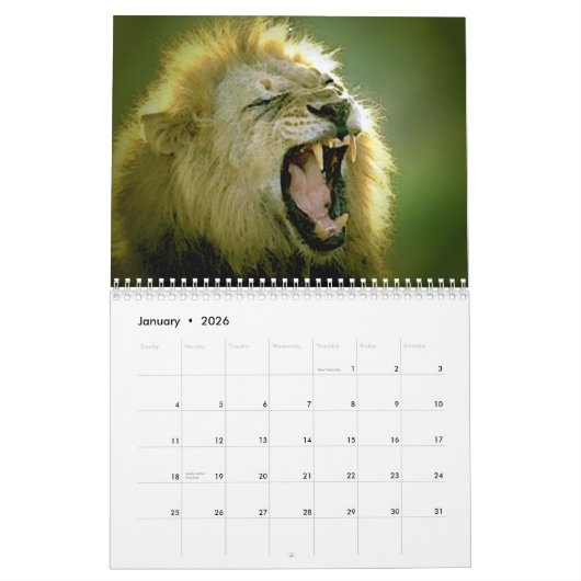 Leeuwen - Wild Animals & Big Cats Wall Kalender (Jan 2026)