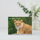 Leeuwenansichtkaart Briefkaart (Staand voorkant)