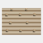 Leeuwencadeauverpakking Inpakpapier Vel (Voorkant 2)