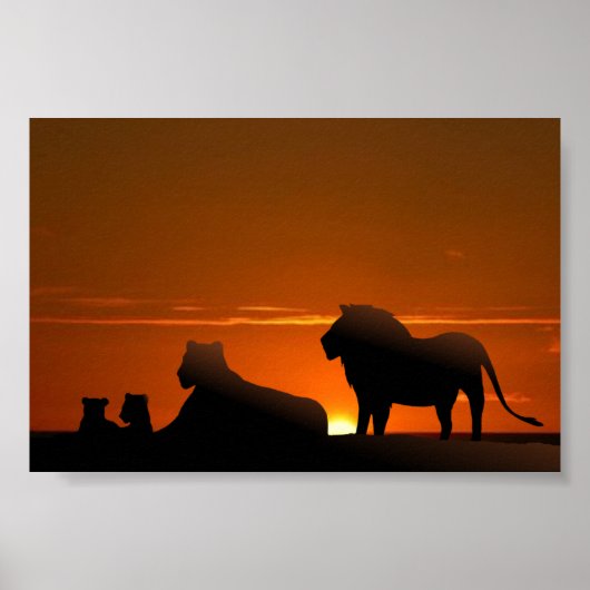 leeuwenfamilie poster (Voorkant)