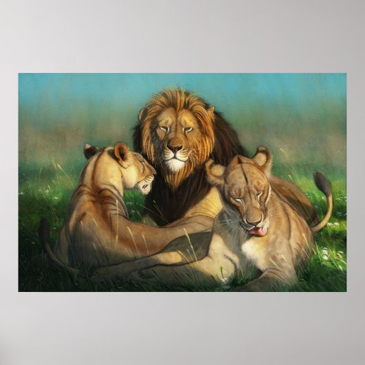 Leeuwenfamilie  poster (Voorkant)