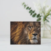 Leeuwengezicht Close-upfoto Briefkaart (Staand voorkant)