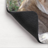 leeuwengezicht muismat (Hoek)