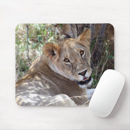 leeuwengezicht muismat (Met muis)