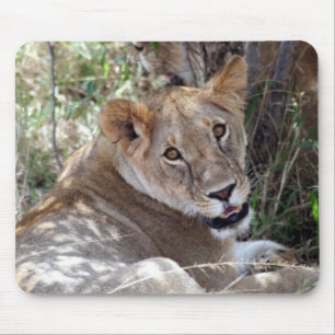 leeuwengezicht muismat