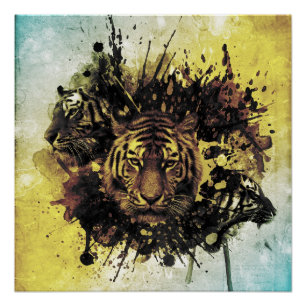 leeuwengezicht perfect poster