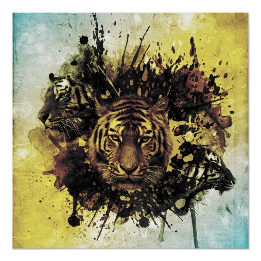 leeuwengezicht perfect poster (Voorkant)