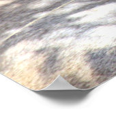 leeuwengezicht poster (Hoek)