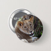 leeuwengezicht ronde button 5,7 cm (Voorkant /achterkant)