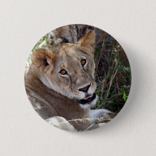 leeuwengezicht ronde button 5,7 cm