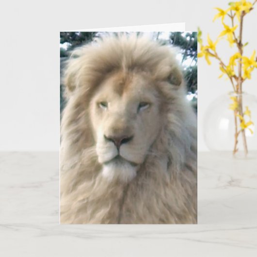 Leeuwenhoofd 'Happy Birthday' kaart (Gele Bloem)