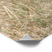 leeuwenjacht poster (Hoek)