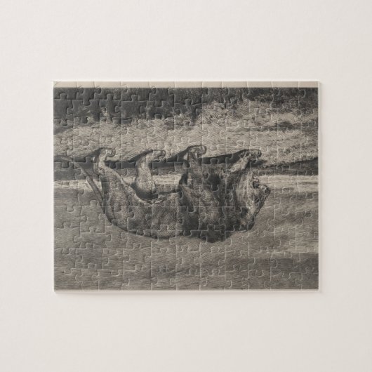  leeuwenkaart puzzel (Horizontaal)