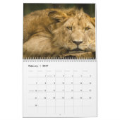 Leeuwenkalender 2025 kalender (Feb 2027)