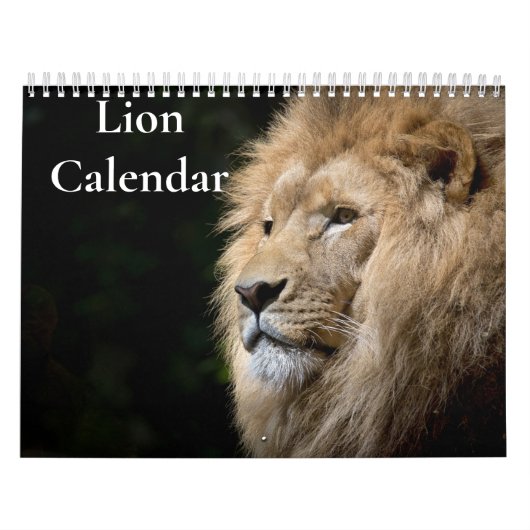 Leeuwenkalender 2026 kalender (Hoes)