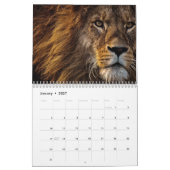 Leeuwenkalender 2026 kalender (Jan 2027)