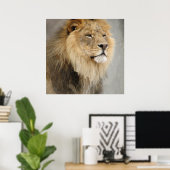 Leeuwenkoning van de Jungle Poster (Thuiskantoor)