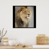 Leeuwenkoning van de Jungle Poster (Keuken)