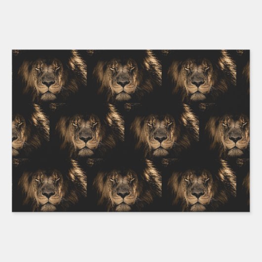 Leeuwenkoning van het Oerwoud Pakket met verpakkin Inpakpapier Vel (Voorkant)