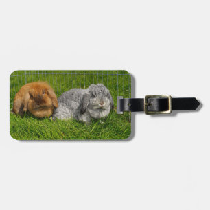Leeuwenkop Holland Mini Lop Konijn Konijn Bagagelabel