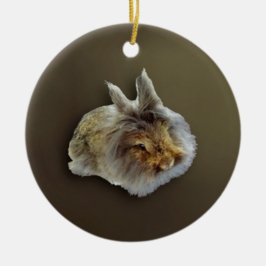 Leeuwenkopkonijn Keramisch Ornament (Voorkant)
