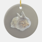 Leeuwenkopkonijn Keramisch Ornament (Achterkant)