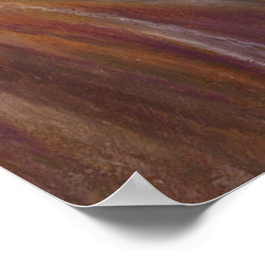 leeuwenkopper poster (Hoek)