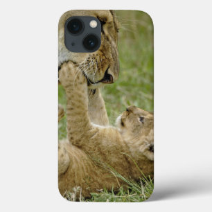 Leeuwenkub met vrouw leeuw, Masai Mara iPhone 13 Hoesje