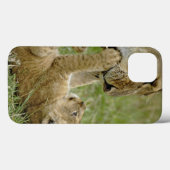 Leeuwenkub met vrouw leeuw, Masai Mara Case-Mate iPhone Case (Achterkant (horizontaal))