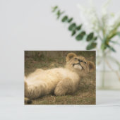 leeuwenkubbel grappig ontspannen geestelijke gezon briefkaart (Staand voorkant)