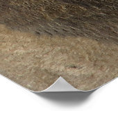 leeuwenkunst poster (Hoek)