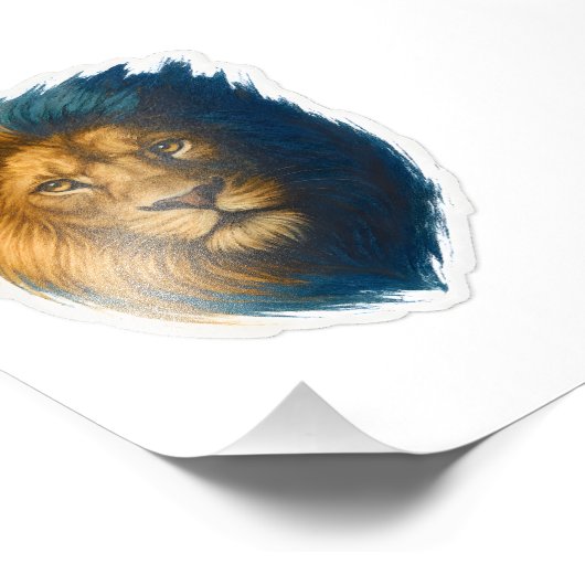 Leeuwenkunstwerk - Bicolor Foto Afdruk (Hoek)