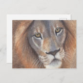 Leeuwenogen Briefkaart (Voorkant / Achterkant)