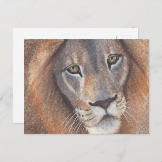 Leeuwenogen Briefkaart (Voorkant / Achterkant)