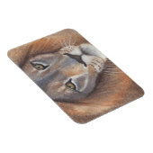 Leeuwenogen Magneet (Rechterzijde)