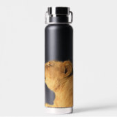 Leeuwenpaar waterfles, 650 ml. waterfles (Achterkant)