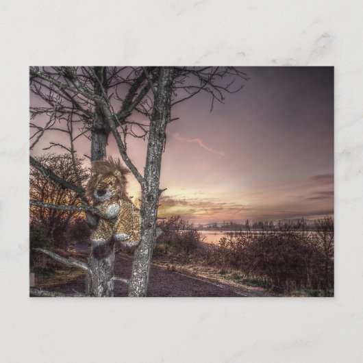 Leeuwenpop bij dageraad ansichtkaart briefkaart (Voorkant)
