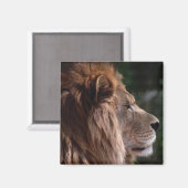 Leeuwenprofiel Magneet (Voorkant / Achterkant)
