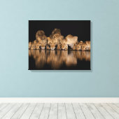 Leeuwenprooi drinkt 's nachts bij het watergat canvas afdruk (Insitu (Houten vloer))